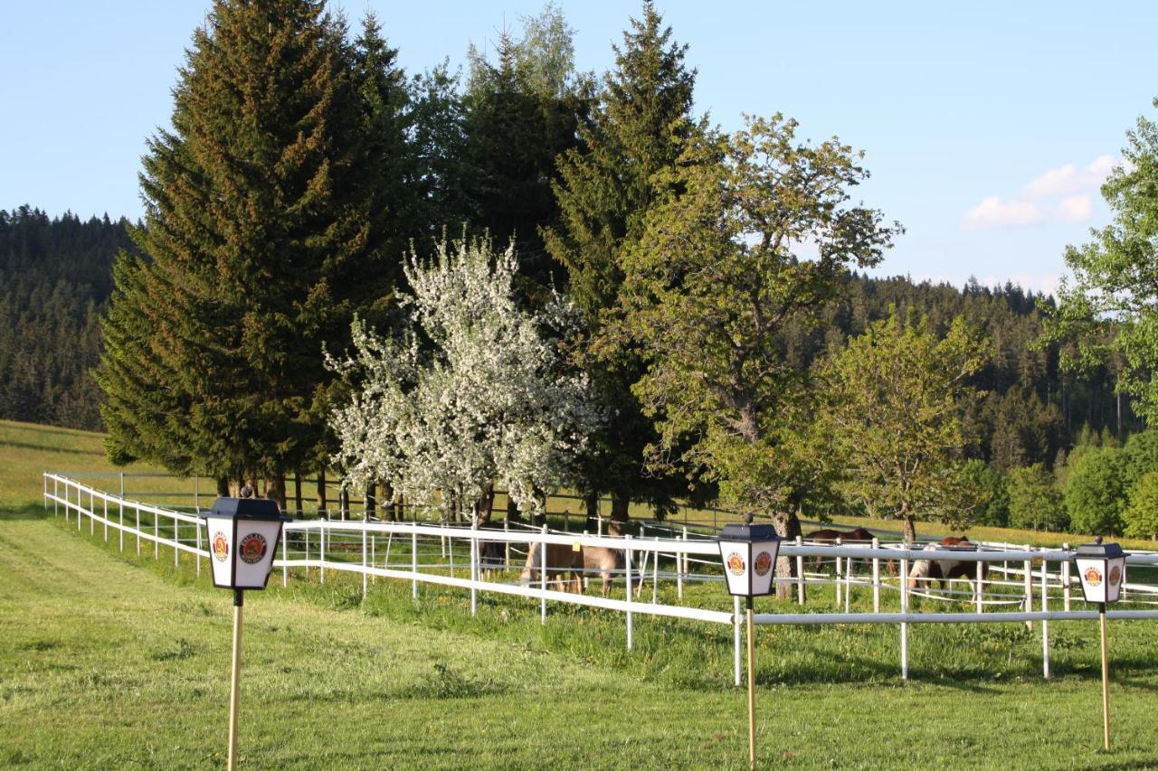 Landhotel Bartlehof Schluchsee Quarto foto